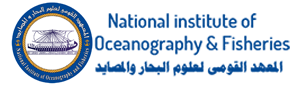 Ocean Decade Network