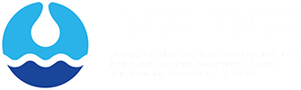 Ocean Decade Network